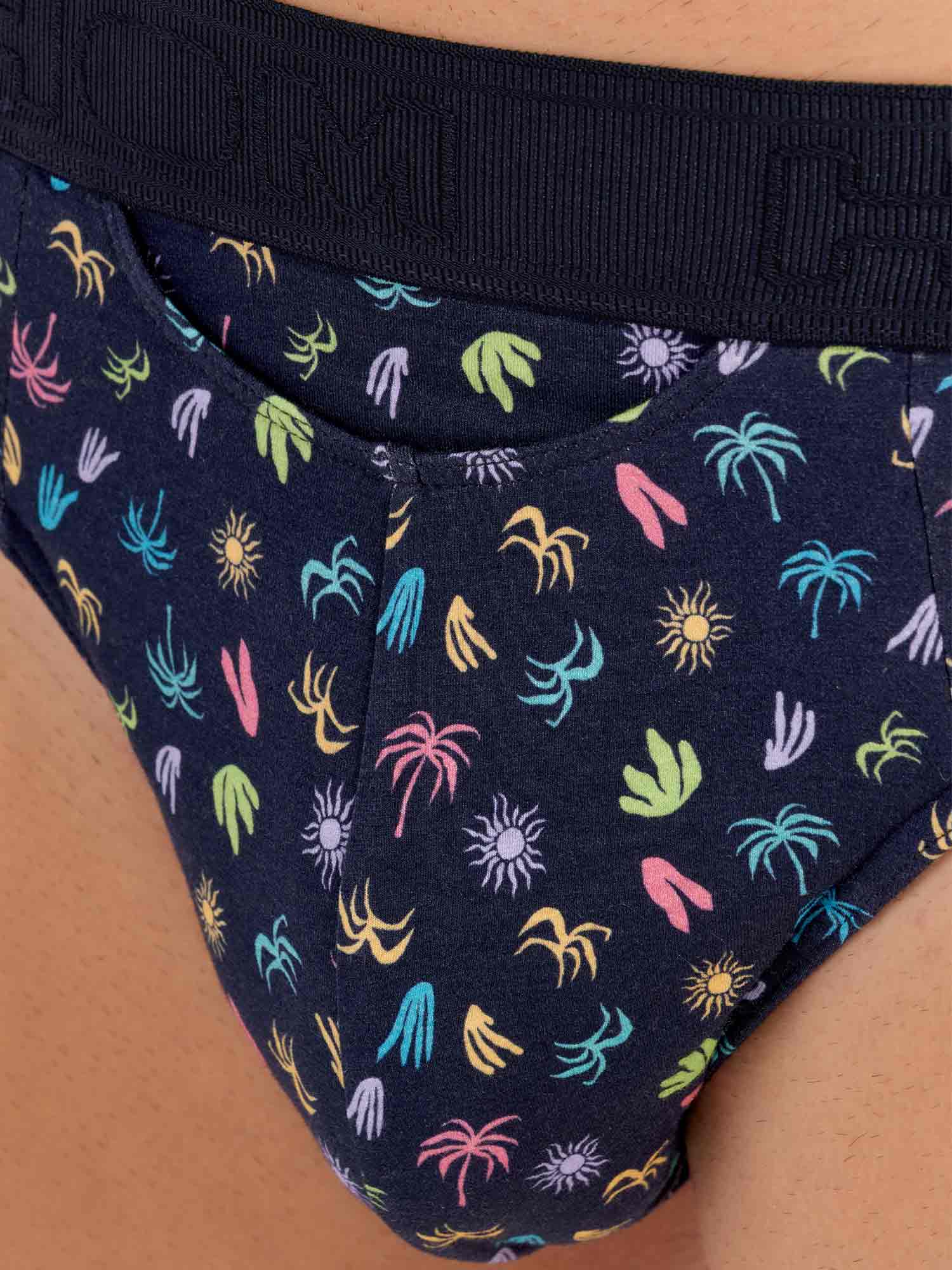 Mini Briefs HO1 - California