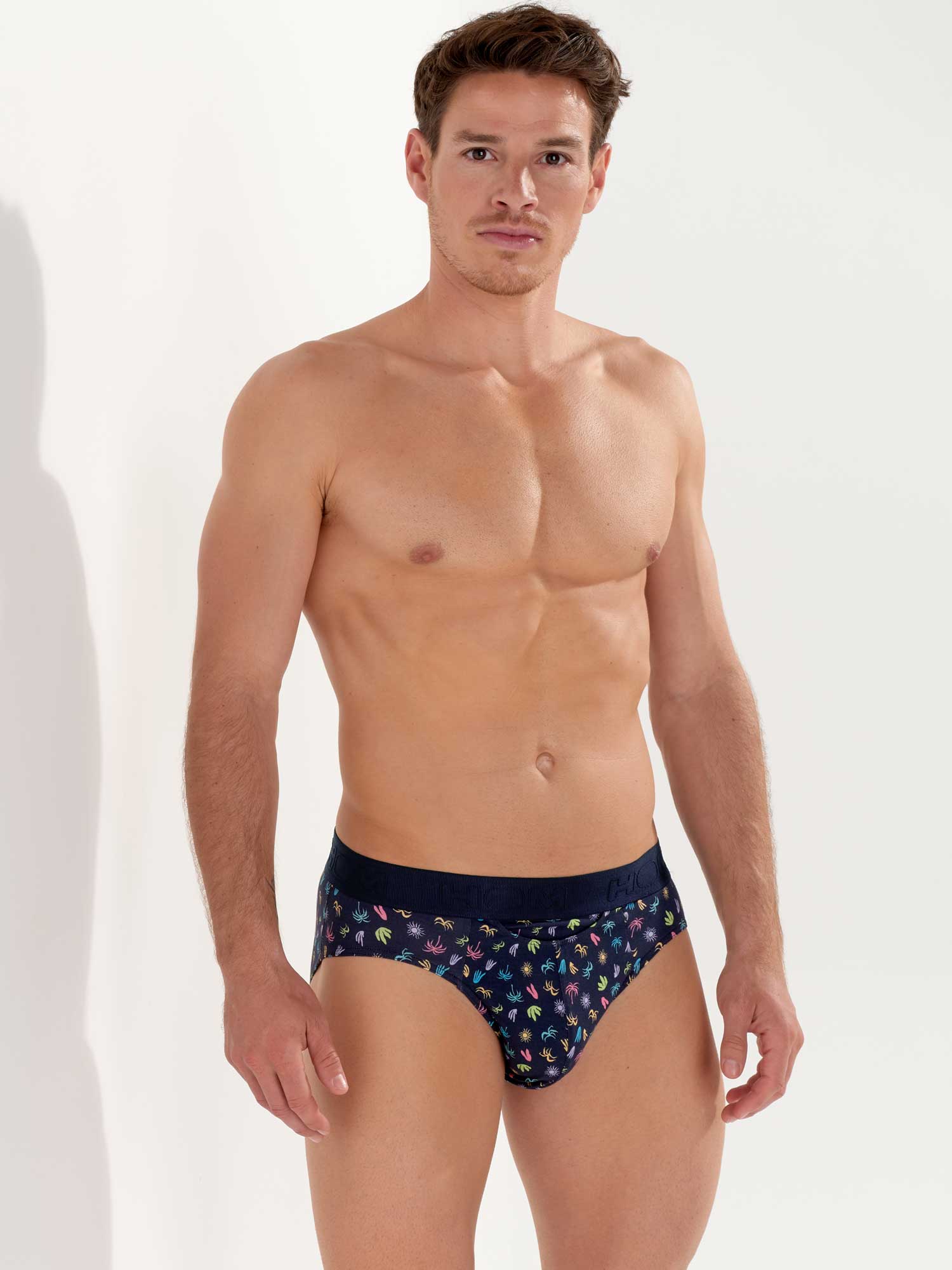 Mini Briefs HO1 - California