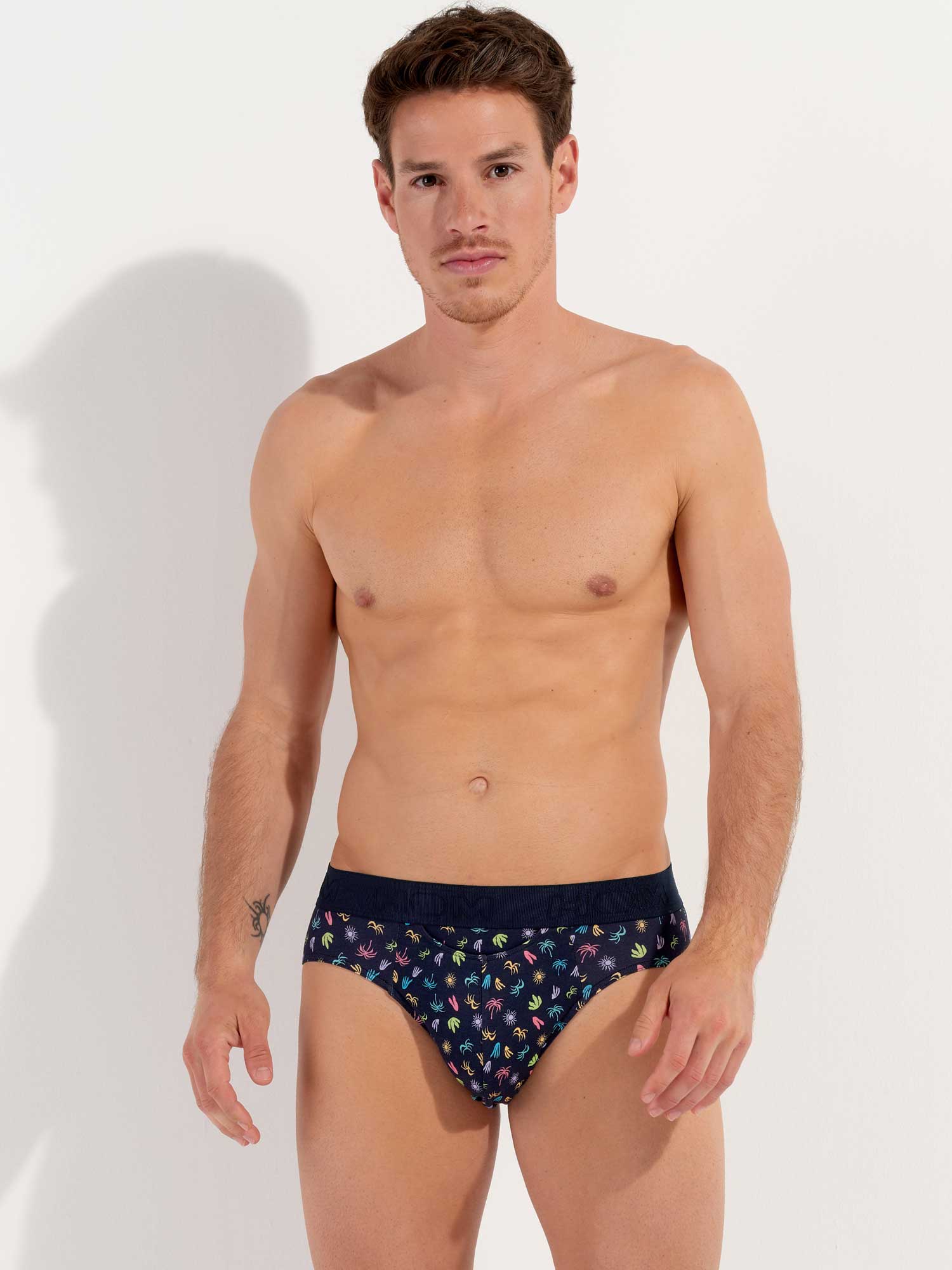 Mini Briefs HO1 - California