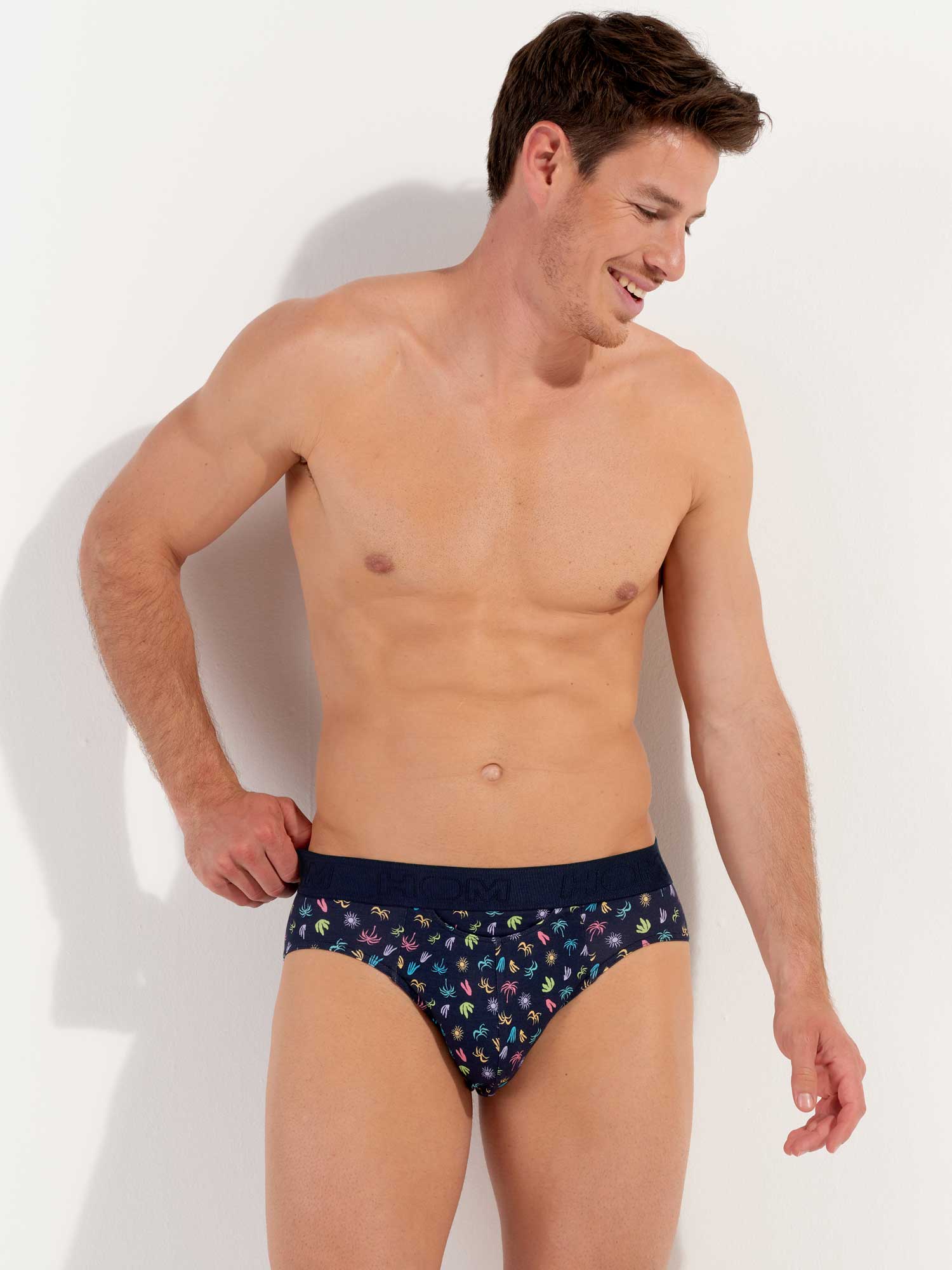 Mini Briefs HO1 - California